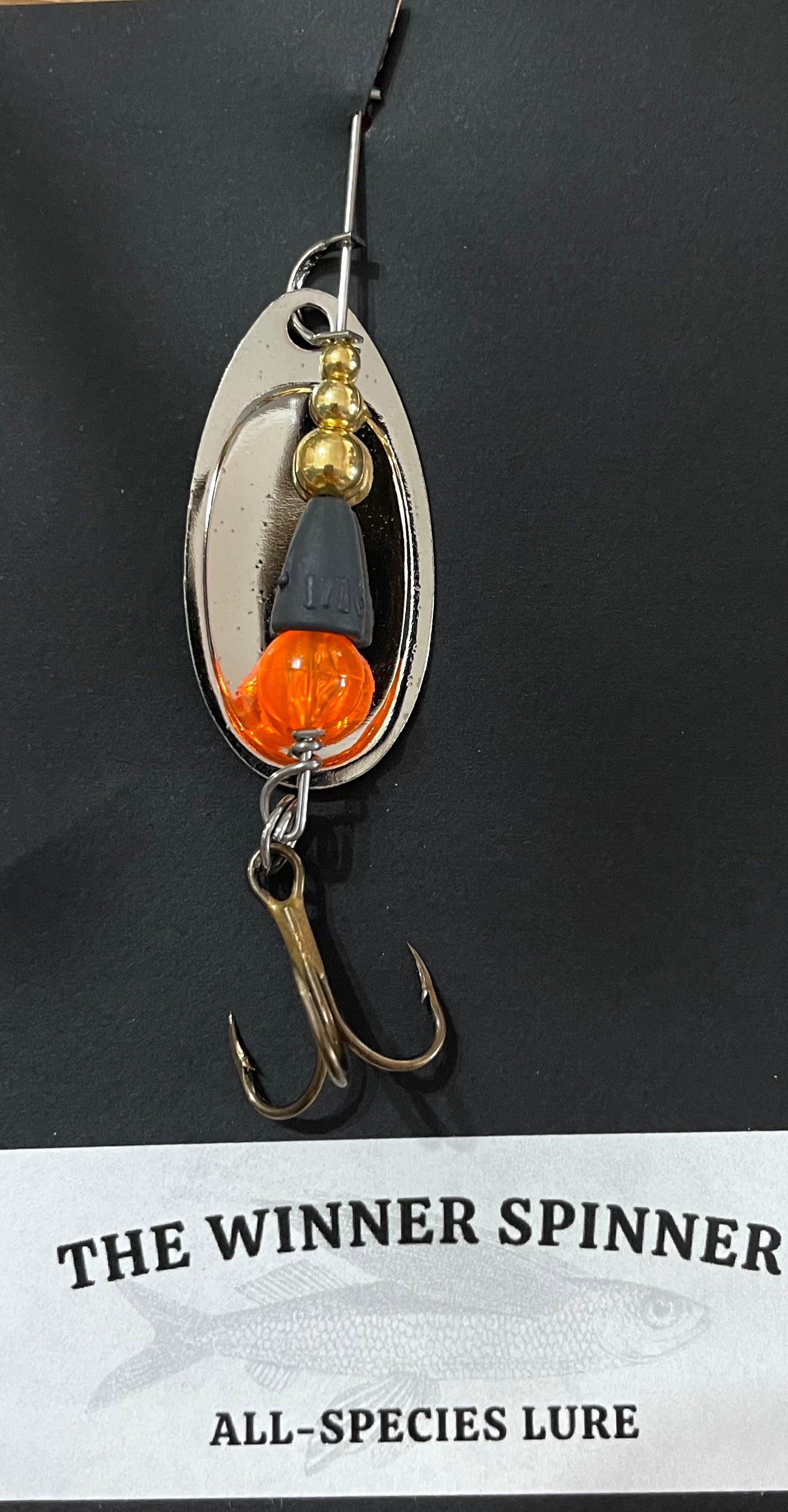 All species Winner Spinner Tangerine