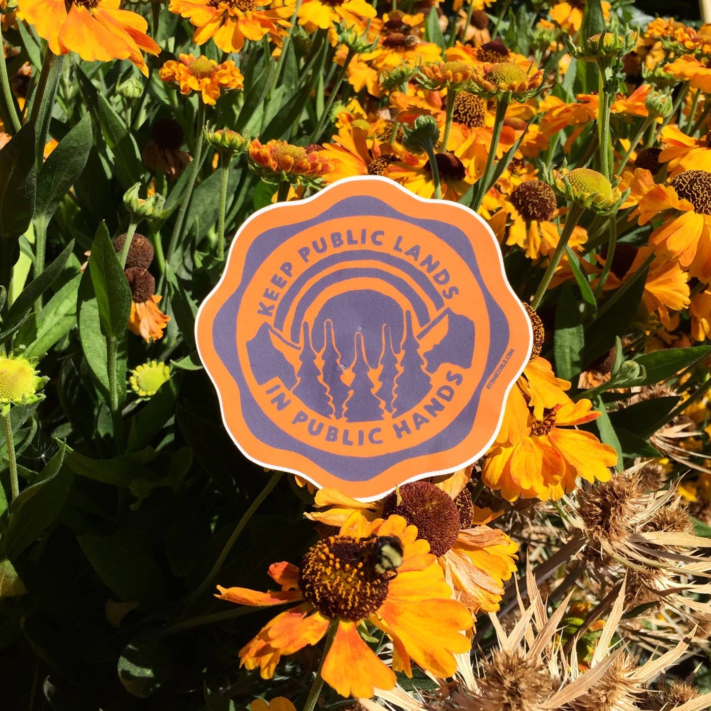 Public Lands Sticker