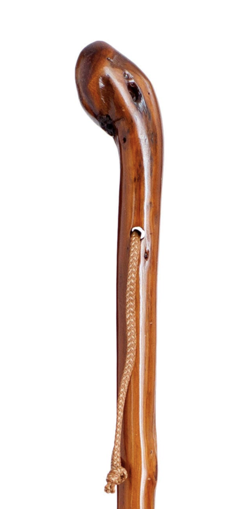 Chestnut mountain cane with Natural Root, Dark