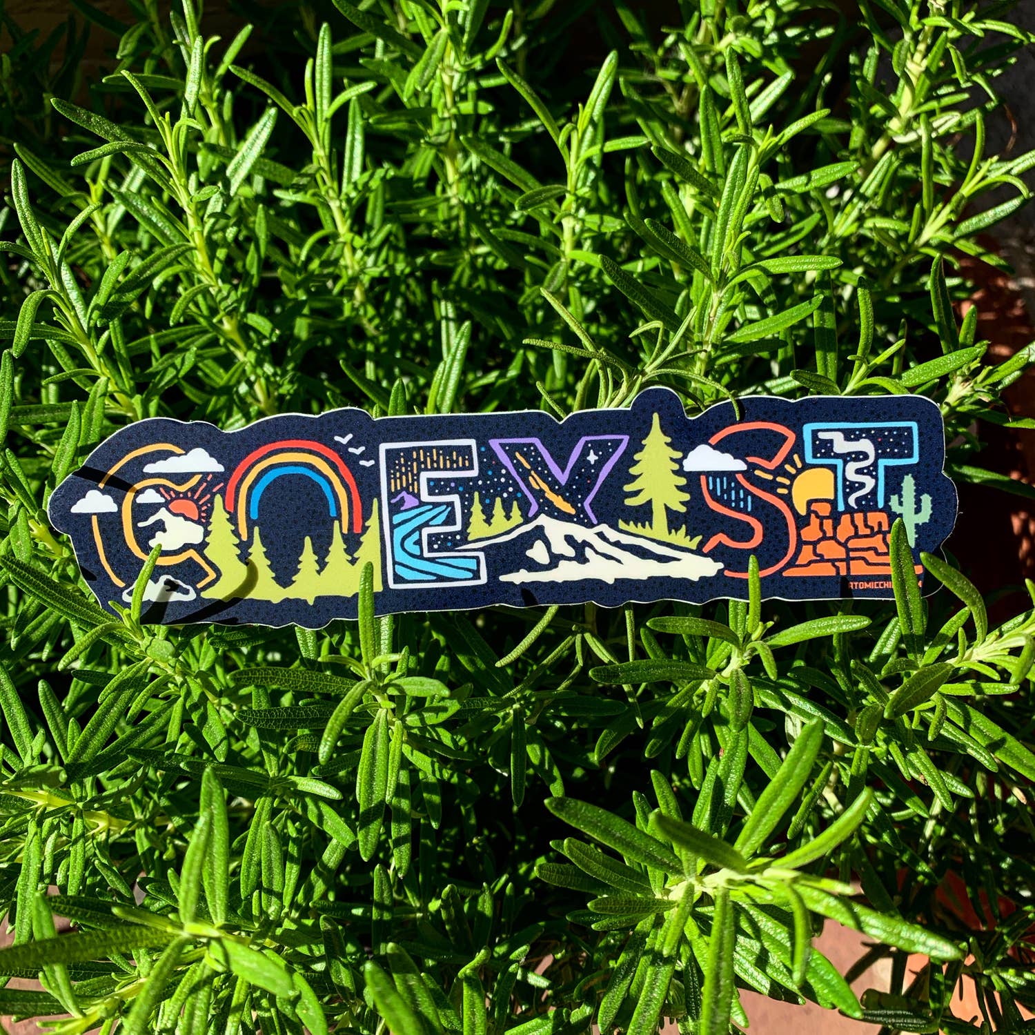 Coexist Sticker – fishandfinnoutfitters