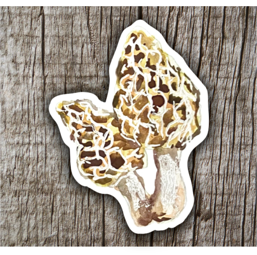 Morel Mushroom Sticker – fishandfinnoutfitters